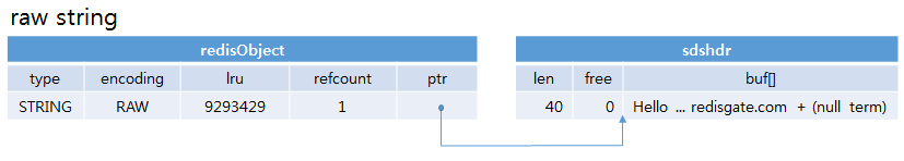 redis STRING raw